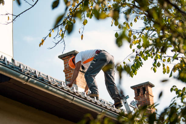 Best Roof Maintenance Services  in Chamberlayne, VA